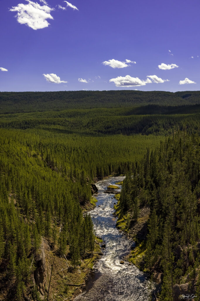 Landscape, wildlife and pet photography by Jeffrey R. Greco