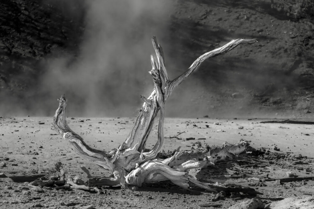 Landscape, wildlife and pet photography by Jeffrey R. Greco