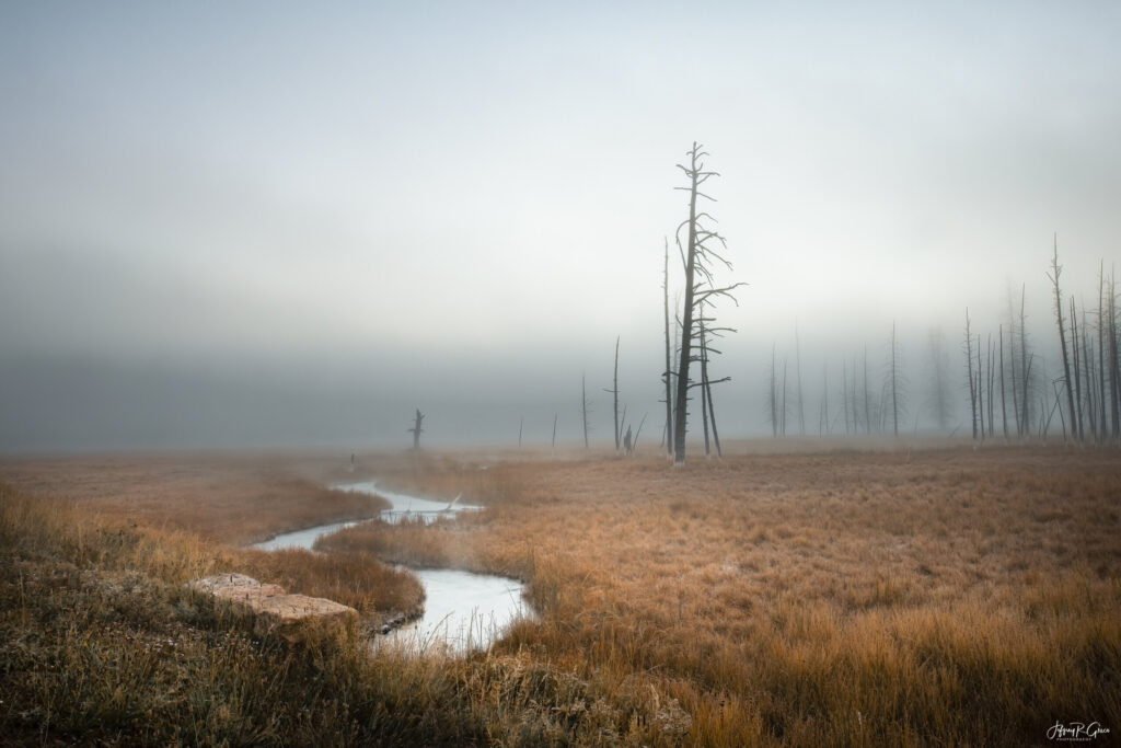 Landscape, wildlife and pet photography by Jeffrey R. Greco