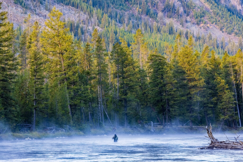 Landscape, wildlife and pet photography by Jeffrey R. Greco
