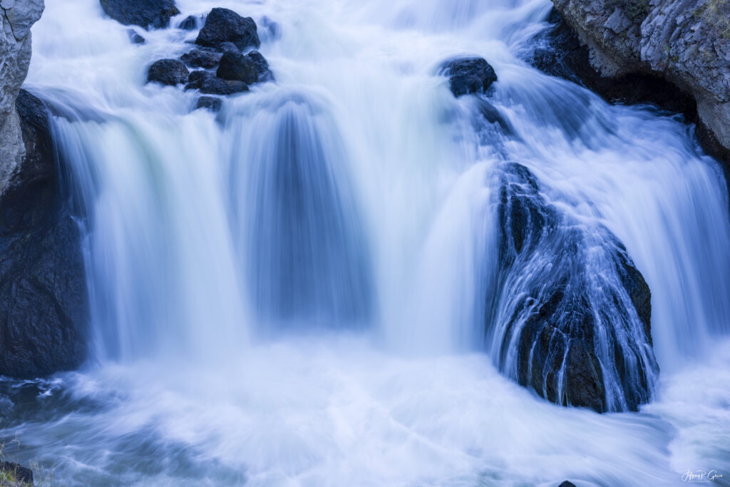 Landscape, wildlife and pet photography by Jeffrey R. Greco