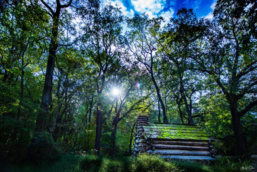 Landscape, wildlife and pet photography by Jeffrey R. Greco